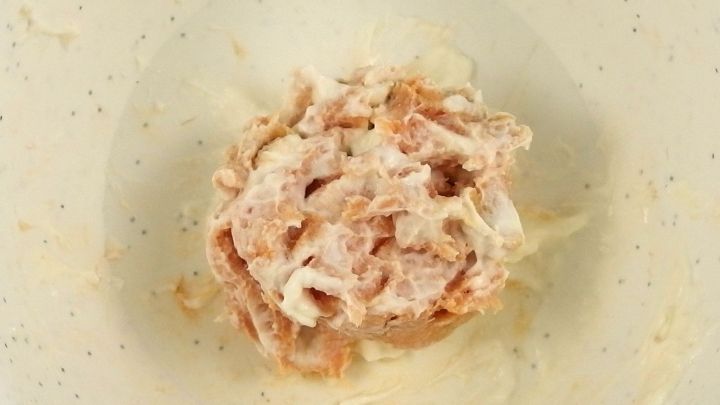 Eine Portion Leberwurst liegt mittig in einer hellen Sch&uuml;ssel, umgeben von einer glatten, neutralen Oberfl&auml;che.