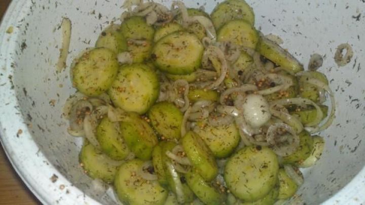 So einfach gelingen Blitz-Sch&uuml;ttelgurken: Frische Gurkenscheiben mit Zwiebeln und Gew&uuml;rzen in wenigen Minuten zubereitet.