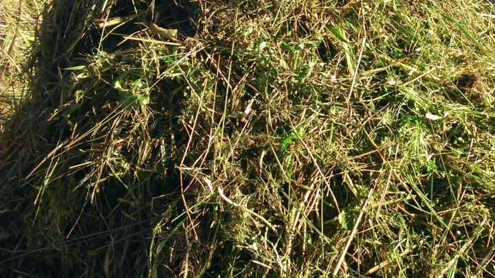 Geschnittener Gartenabfall liegt in einem Haufen und wartet darauf, f&uuml;r Balkonpflanzen und Tischdeko verwendet zu werden.