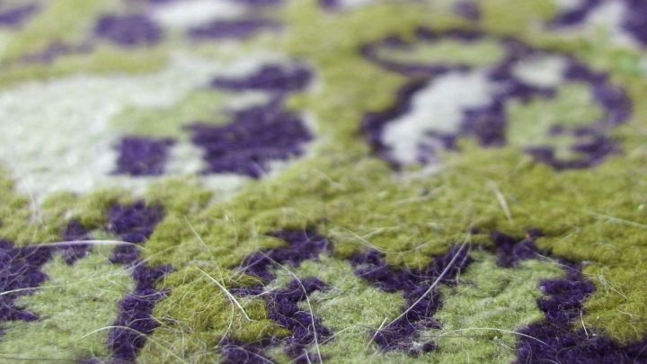Ein Teppich mit einem bunten Muster, der mit Tierhaaren verunreinigt ist, zeigt die Herausforderung bei der Reinigung.