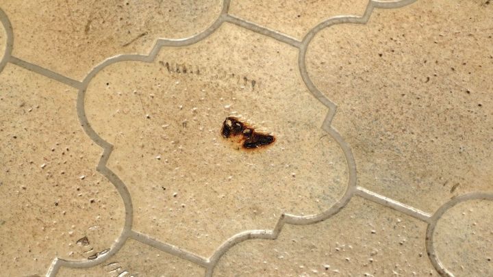 Kleine Brandflecken liegen auf einem hellen PVC-Bodenbelag, der die gesamte Fl&auml;che einnimmt und das Muster zeigt.