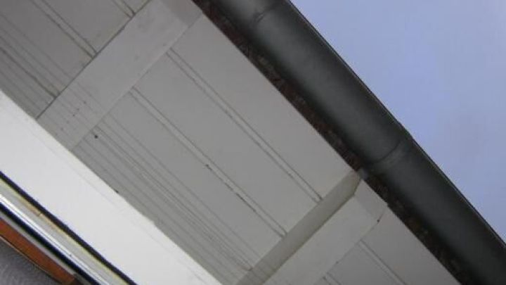 Mit einer gespannten Angelschnur unter dem Dach&uuml;berstand wie hier vermeidest du, dass Schwalben dort Nester bauen.