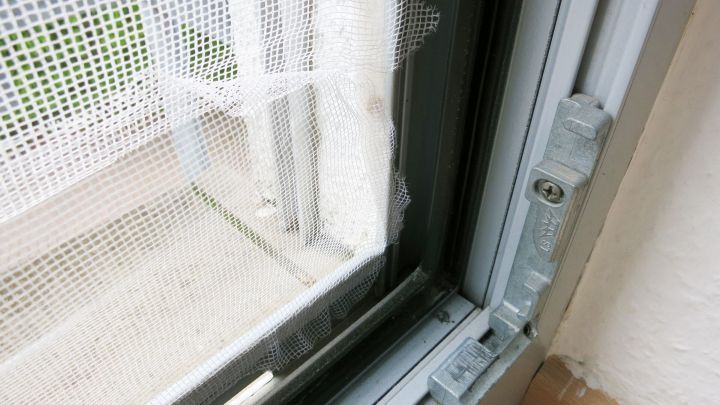 Ein Fliegennetz h&auml;ngt an einem Fenster, mit Kleberesten sichtbar; der Raum wirkt hell und wohnlich.