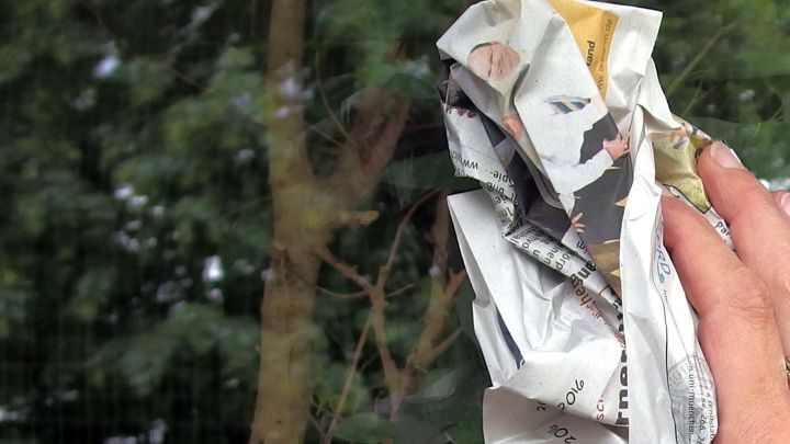 Eine Hand h&auml;lt zerkn&uuml;lltes Zeitungspapier, w&auml;hrend sie ein Fenster sauber wischt, um es blitzeblank zu machen.
