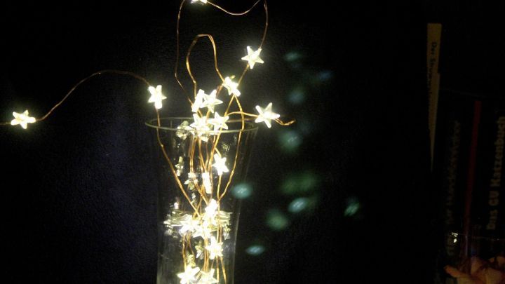 Ein beleuchteter Dekorationszweig mit Lichtern strahlt in einem dunklen Raum, um eine gem&uuml;tliche Atmosph&auml;re zu schaffen.