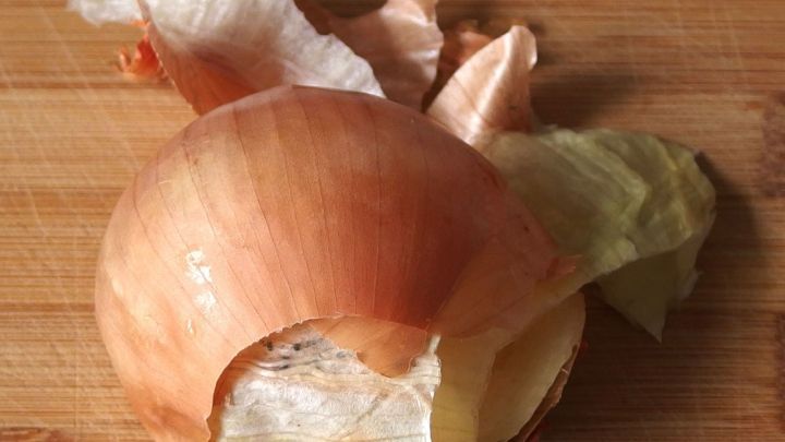 Eine Zwiebelschale liegt auf einem Holzbrett, umgeben von weiteren Schalen, zur Bek&auml;mpfung von Blattl&auml;usen.