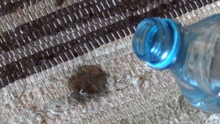 Eine Wasserflasche wird &uuml;ber einen Fleck auf einem Teppich gehalten, um die Fleckenentfernung zu erleichtern.