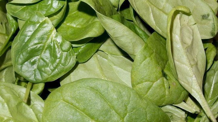 Frische Spinatbl&auml;tter liegen &uuml;bereinander und zeigen verschiedene Gr&uuml;nt&ouml;ne, bereit f&uuml;r ein schmackhaftes Gericht.