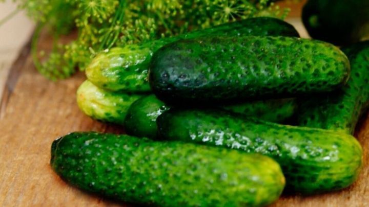 Frische Salzgurken liegen auf einem Holzbrett neben einem Glas mit eingelegten Gurken und Gew&uuml;rzen wie Dill und Knoblauch.