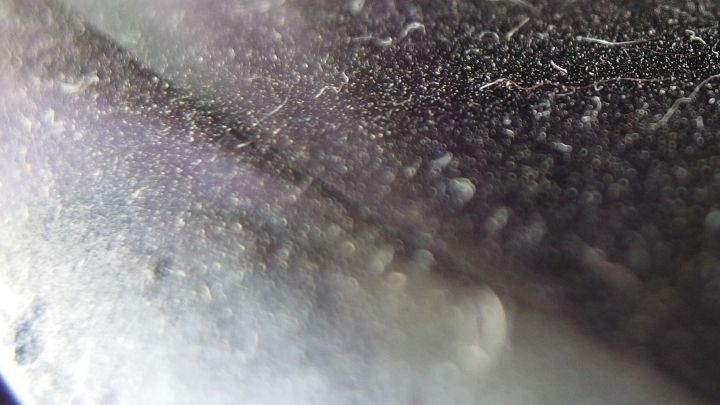 Eine staubige Oberfl&auml;che liegt vor, &uuml;ber die Schmutzpartikel sichtbar streuen. Der Fokus liegt auf der Reinigung.