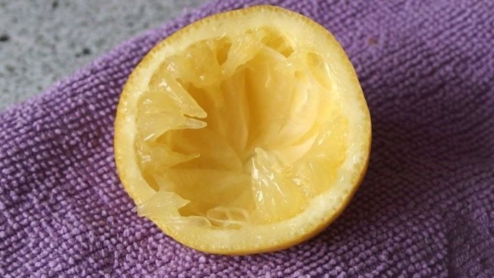 Eine ausgepresste Zitronenschale liegt auf einem lila Tuch und zeigt die innere, fasrige Struktur f&uuml;r den Weichsp&uuml;ler.