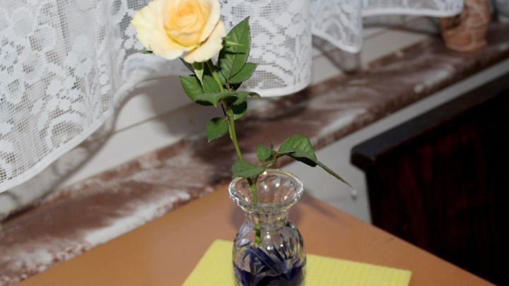 Eine seltene, blaue Rose steht in einer Glasvase auf einem Tisch, neben einem gelben Blatt und im Licht einer Fenstervorhang.