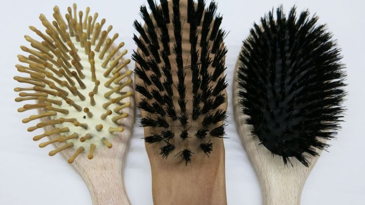 Drei verschiedene Haarb&uuml;rsten liegen nebeneinander, bereit, um Haare aus der Haarb&uuml;rste zu entfernen.