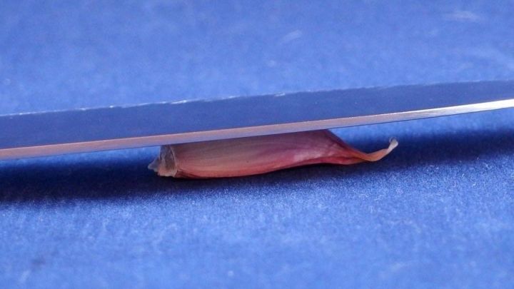 Ein Knoblauchzehe liegt unter einem Messer, w&auml;hrend es gesch&auml;lt wird, auf einer blauen Oberfl&auml;che.
