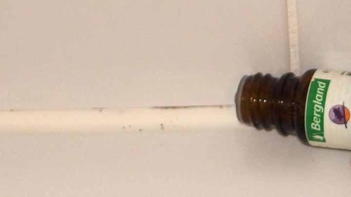 Ein Fl&auml;schchen Teebaum&ouml;l steht schr&auml;g auf einer wei&szlig;en Oberfl&auml;che, bereit zur Anwendung gegen Schimmel und Pilze.