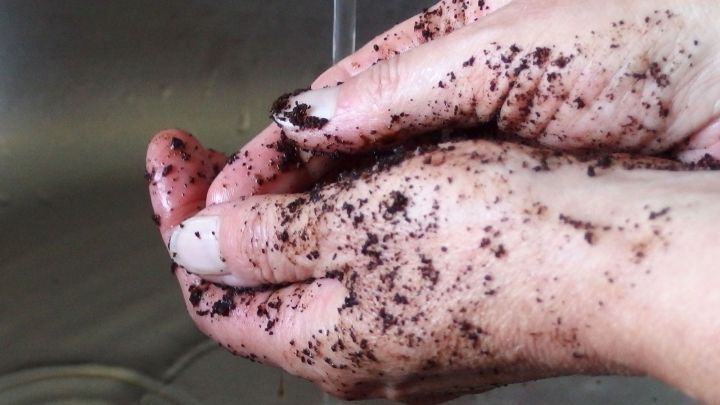 H&auml;nde mit Kaffeesatz sind unter flie&szlig;endem Wasser in einer Sp&uuml;le, um unangenehme Ger&uuml;che zu beseitigen.