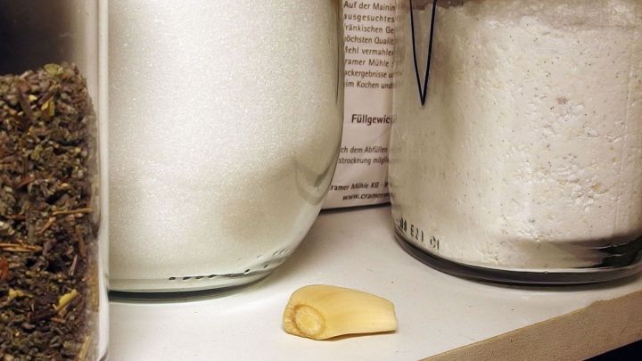 Knoblauch liegt auf einem Regal zwischen Gew&uuml;rz- und Mehldosen in der K&uuml;che. Text &bdquo;F&uuml;llgewicht ... www.cramer.co&rdquo;.