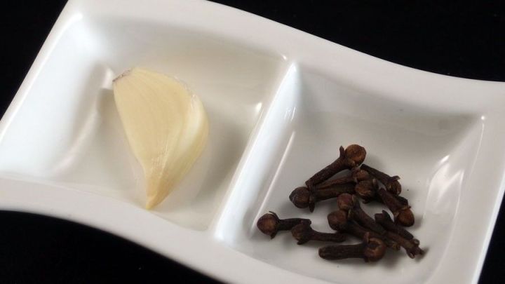 Ein Knoblauchzehe liegt neben getrockneten Nelken in einer wei&szlig;en Schale, passend zur Bek&auml;mpfung von Knoblauchgeruch.