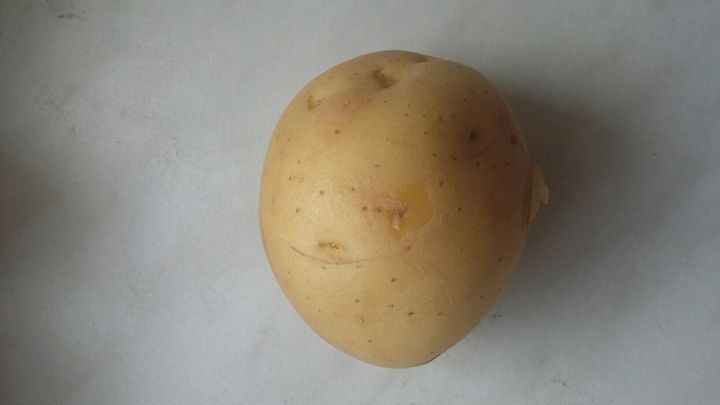 Eine Kartoffel liegt auf einer hellen K&uuml;chenoberfl&auml;che, bereit, in einem Rezept verwendet zu werden.