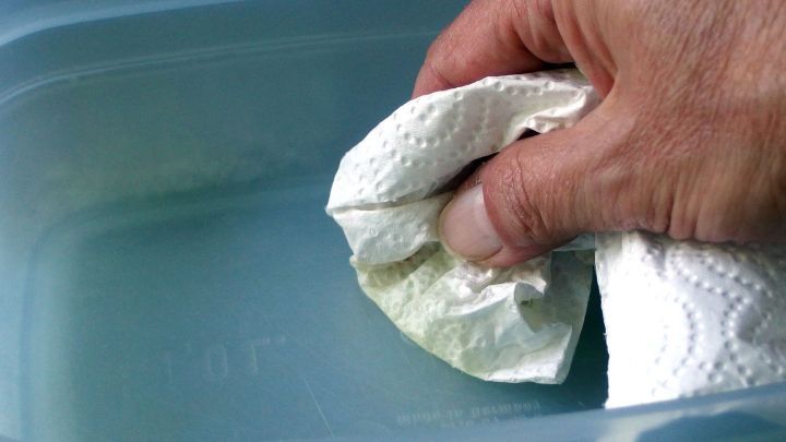 Eine Hand reinigt eine Tuppersch&uuml;ssel mit einem Papiertuch, um Verf&auml;rbungen zu vermeiden, w&auml;hrend sie in einem Waschbecken steht.