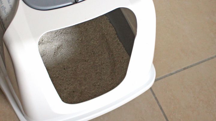 Eine Katzentoilette steht auf einem Fliesenboden und hat eine offene Vorderseite, um Katzen den Zugang zu erleichtern.