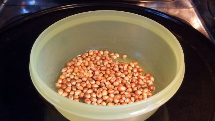 In einer gr&uuml;nen Sch&uuml;ssel befinden sich ungepopte Maisk&ouml;rner, die zum Zubereiten von Mikrowellenpopcorn vorgesehen sind.