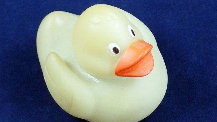 Quietscheente sitzt auf blauem Hintergrund; keine sichtbaren Schimmelspuren oder Algen.