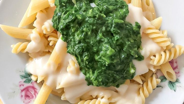 Auf einem Teller liegen Nudeln, die mit einer cremigen Kokos-Spinatsauce &uuml;berzogen sind, umgeben von einer blumigen Bord&uuml;re.