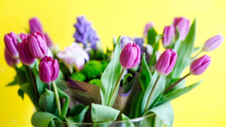 Frische Tulpen stehen in einer Vase auf einem gelben Hintergrund, umgeben von bunten Blumen und kr&auml;ftigem Gr&uuml;n.