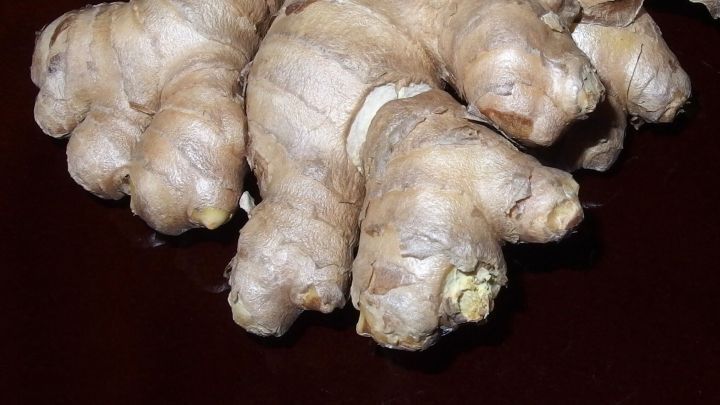 Frische Ingwerknollen liegen auf einer dunklen Tischoberfl&auml;che, bereitet f&uuml;r die Herstellung von Ingwerst&auml;ben.