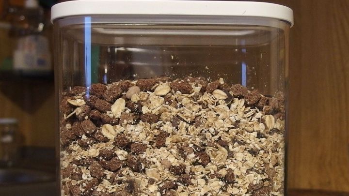 Ein transparenter Beh&auml;lter steht auf einer Arbeitsfl&auml;che und enth&auml;lt Haferflocken und Schokoladenst&uuml;ckchen, die ungesch&uuml;tzt sind.