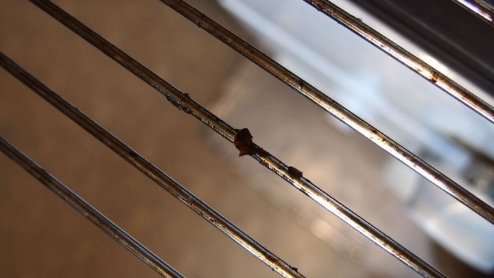 Ein Backofen-Gitterrost liegt horizontal und zeigt einen kleinen Schmutzfleck auf den Metallstreben in einer modernen K&uuml;che.