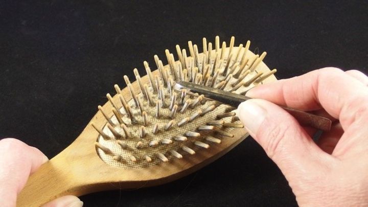 Eine Haarb&uuml;rste wird mit einer Pinzette gereinigt, w&auml;hrend sie auf einem schwarzen Hintergrund liegt.