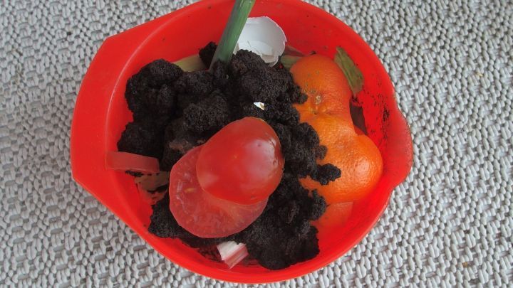 Eine rote Sch&uuml;ssel enth&auml;lt abfallendes Gem&uuml;se und Erde, m&ouml;glicherweise zur Bek&auml;mpfung von Drosophila mit Rotwein.