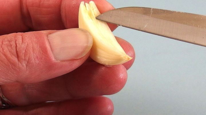 Eine Hand h&auml;lt eine Knoblauchzehe, w&auml;hrend ein Messer diese schneidet, um sie f&uuml;r das Kochen vorzubereiten.