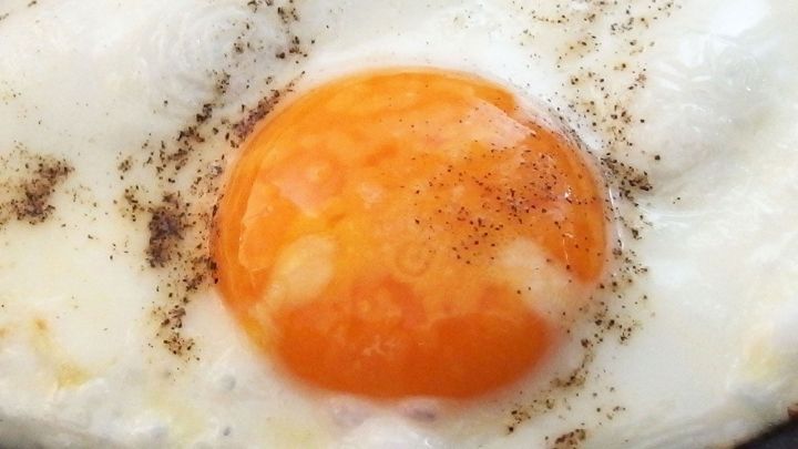 Ein Spiegelei liegt auf einem Teller, die helle Eiwei&szlig;-Umrandung um das leuchtendorange Eigelb, einfach und unbraten.