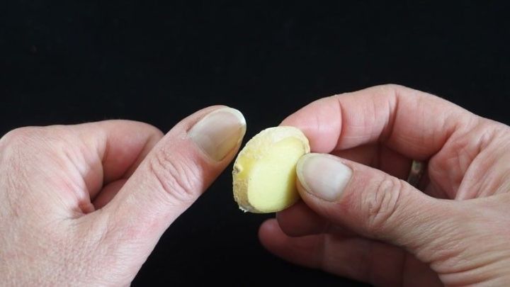 Zwei H&auml;nde halten ein frisch geschnittenes St&uuml;ck Ingwer, w&auml;hrend es auf einem schwarzen Hintergrund pr&auml;sentiert wird.