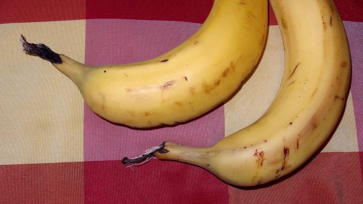 Zwei gelbe Bananen liegen auf einem karierten Tisch. Sie sind reif und bereit f&uuml;r die Zubereitung von Bananenmilch.