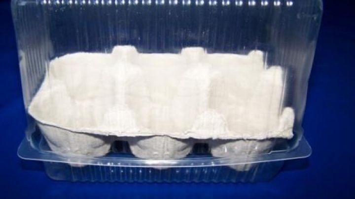 Ein Mini-Anzucht-Gew&auml;chshaus aus Pappe im durchsichtigen Packung, bereit f&uuml;r den Einsatz im Garten oder auf dem Balkon.