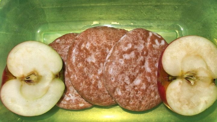 Lebkuchen-Pl&auml;tzchen liegen in einer gr&uuml;nen Schale, daneben sind frische Apfelh&auml;lften, die zur Frische beitragen.