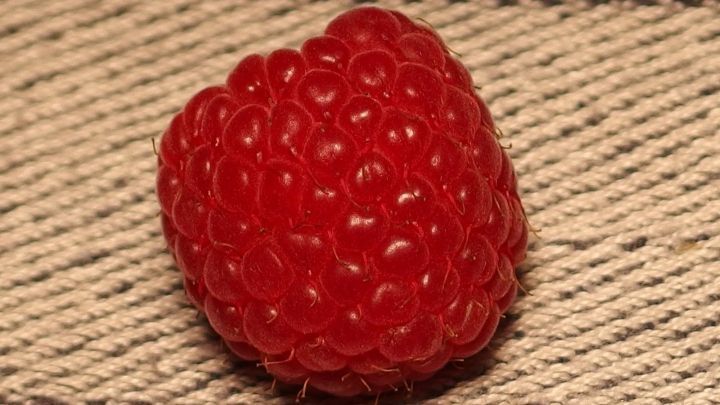 Eine rote Himbeere liegt auf einem gestreiften, hellen Stoff, frisch und saftig, bereit f&uuml;r einen Genuss.