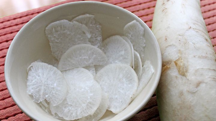 Runder Meerrettichscheiben liegen in einer Sch&uuml;ssel auf einem Tisch, daneben steht eine frische Meerrettichwurzel.