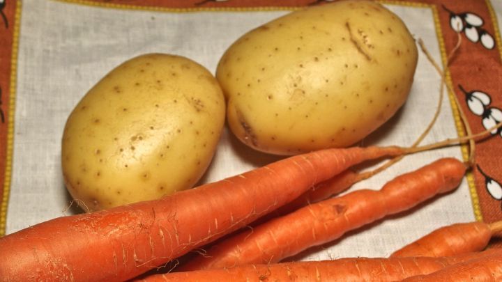 Kartoffeln und Karotten liegen auf einem Tuch, bereit zum Gem&uuml;se einfrieren f&uuml;r die sp&auml;tere Verwendung.