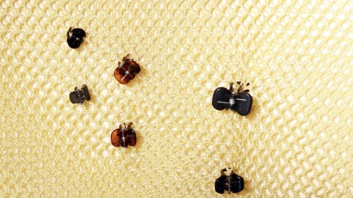 Diverse Haarklammern liegen verstreut auf einer hellen, strukturierten Oberfl&auml;che und warten auf ihren Einsatz.