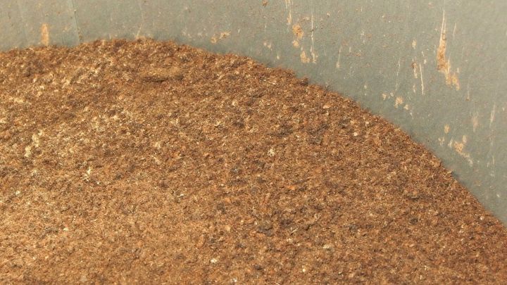 Kupfer mit Holzasche wird in einem Beh&auml;lter vermischt, um das Kupfer zu reinigen. Die Asche hat eine goldbraune Farbe.