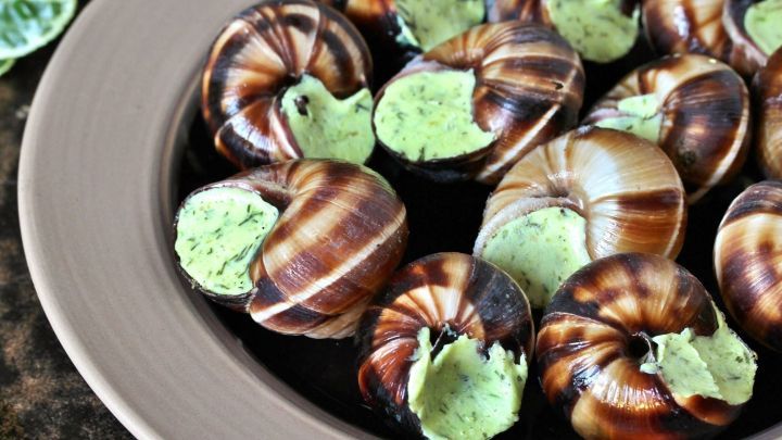 Auf einem Teller liegen zubereitete Schnecken, gef&uuml;llt mit gr&uuml;ner Kr&auml;uterbutter aus frischen Zutaten.