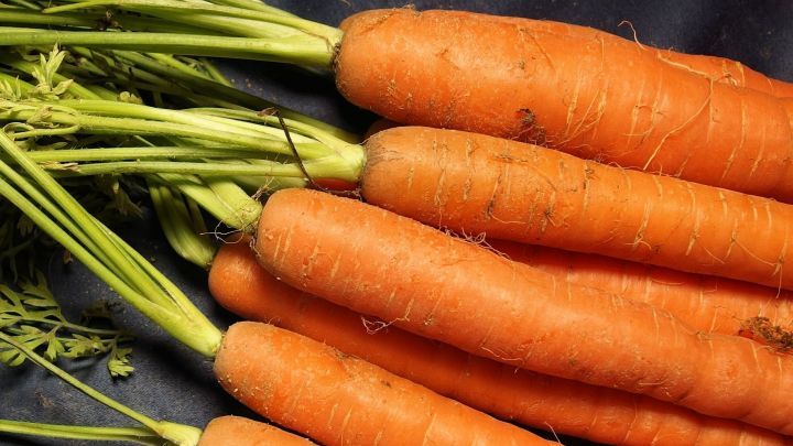 Frische Bundm&ouml;hren liegen nebeneinander auf einem dunklen Untergrund, bereit f&uuml;r den Verzehr oder die Zubereitung.