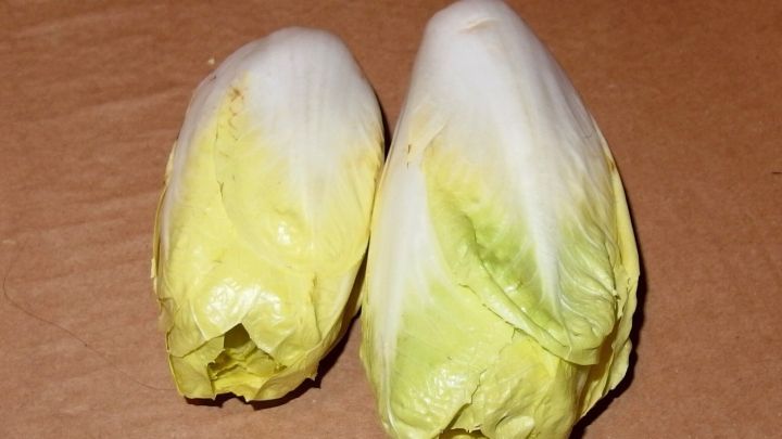 Zwei K&ouml;pfe Chicoree liegen auf einer braunen Unterlage, frisch und bereit zum Braten als k&ouml;stliches Gem&uuml;segericht.