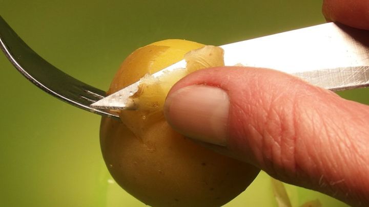 Eine Hand sch&auml;lt eine Pellkartoffel mit einem Messer, w&auml;hrend die Kartoffel auf einer gr&uuml;nen Oberfl&auml;che liegt.