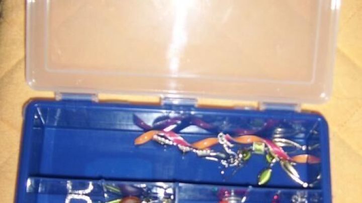 Eine ge&ouml;ffnete Aufbewahrungsbox h&auml;lt Ohrringe in F&auml;chern, die auf einer beige gepolsterten Oberfl&auml;che liegen.